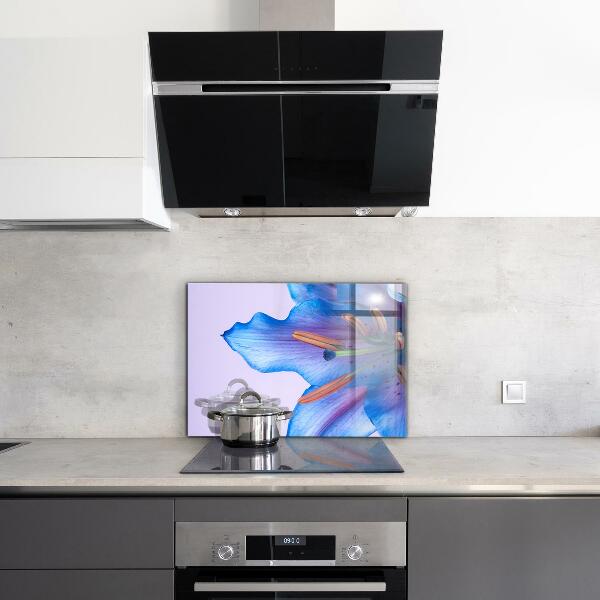 Keuken achterwand glas Prachtige blauwe lelie