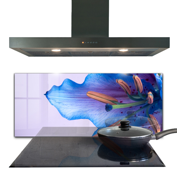 Keuken achterwand glas Prachtige blauwe lelie