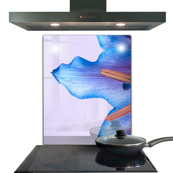 Keuken achterwand glas Prachtige blauwe lelie