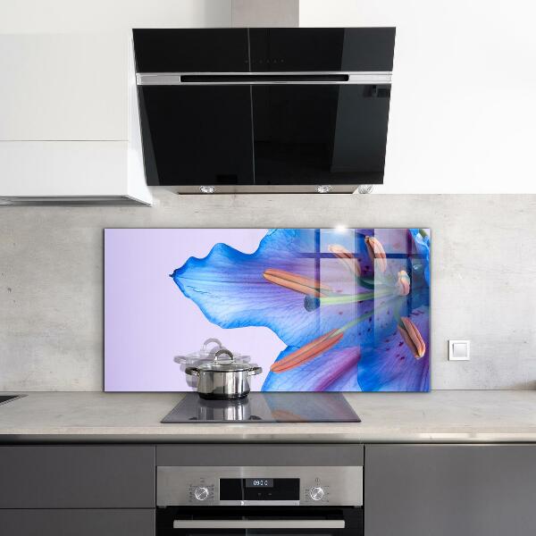 Keuken achterwand glas Prachtige blauwe lelie