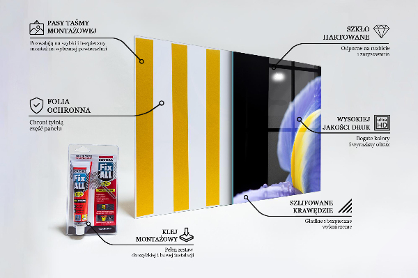 Foto achterwand keuken Paarse irisbloem