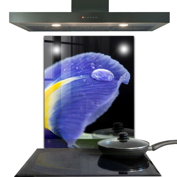 Foto achterwand keuken Paarse irisbloem