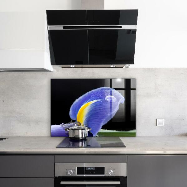 Foto achterwand keuken Paarse irisbloem