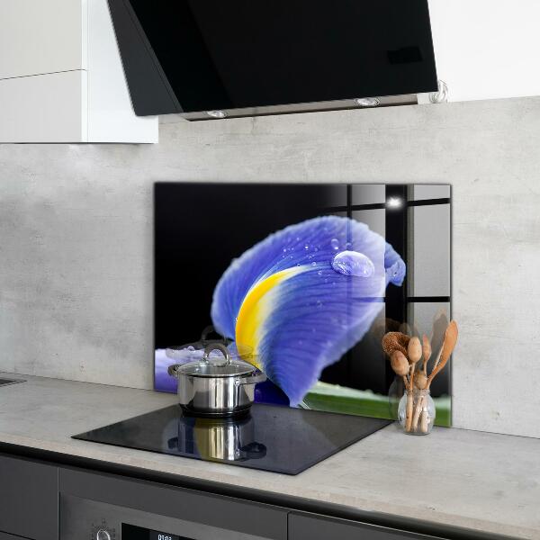 Foto achterwand keuken Paarse irisbloem