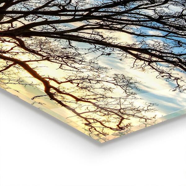 Foto achterwand keuken Landschapsweide in de ochtend