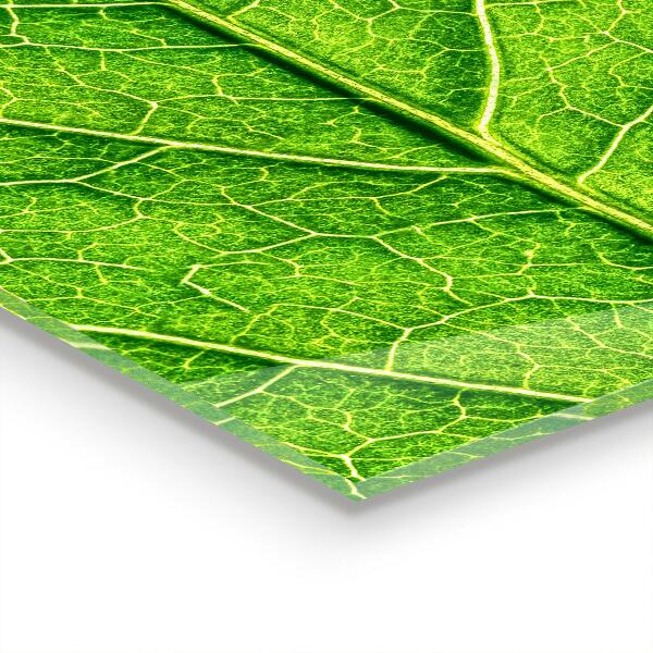 Achterwand keuken Fijne bladdetails