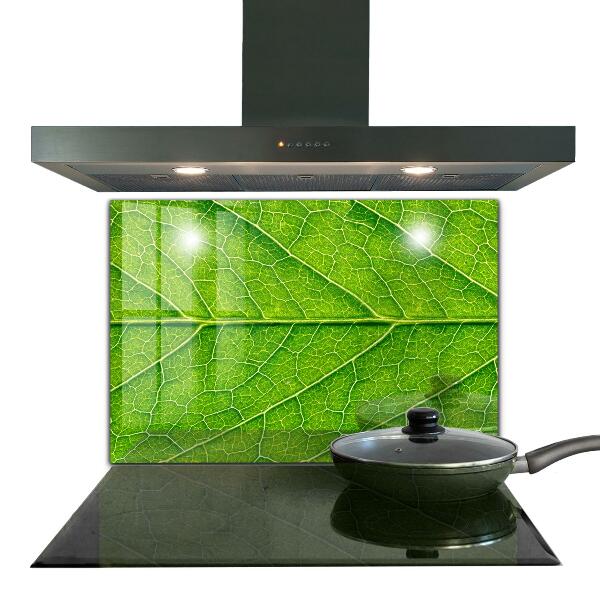 Achterwand keuken Fijne bladdetails