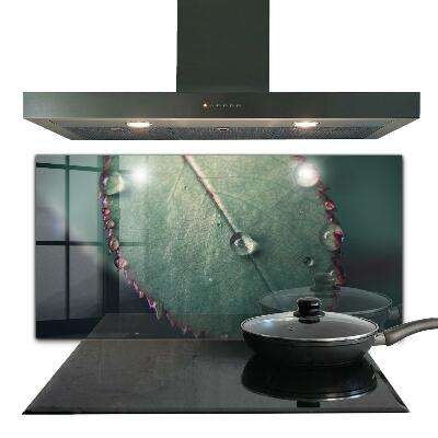 Foto achterwand keuken Blad met een dauwdruppel