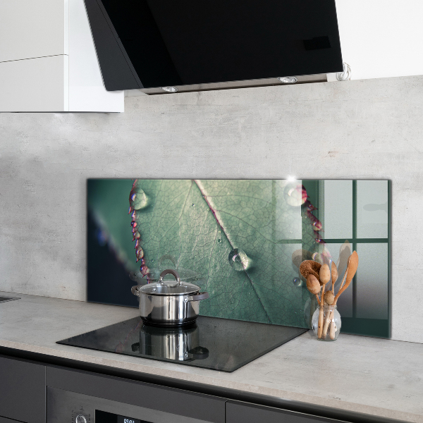 Foto achterwand keuken Blad met een dauwdruppel