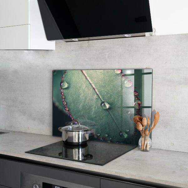 Foto achterwand keuken Blad met een dauwdruppel