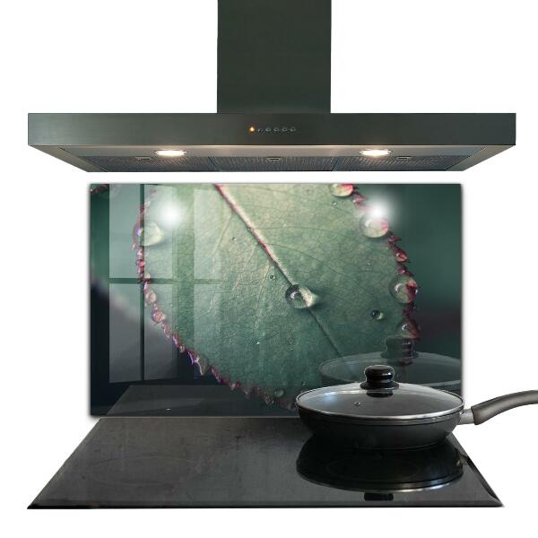 Foto achterwand keuken Blad met een dauwdruppel