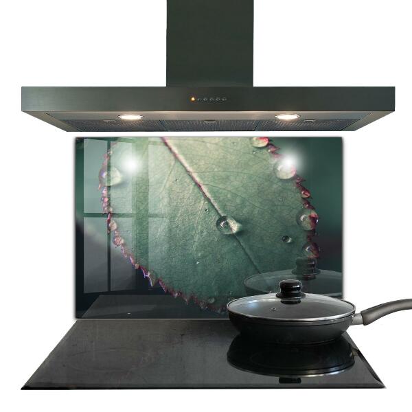 Foto achterwand keuken Blad met een dauwdruppel