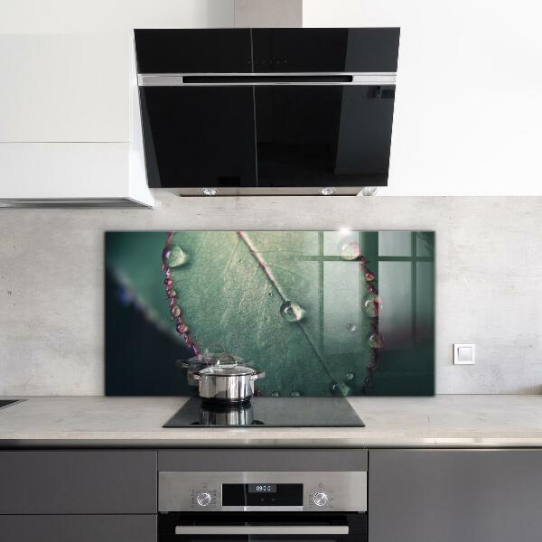 Foto achterwand keuken Blad met een dauwdruppel