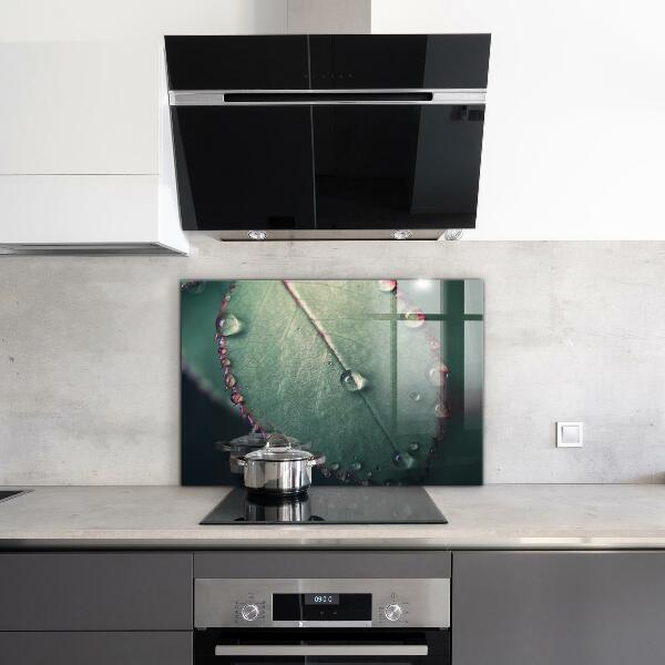 Foto achterwand keuken Blad met een dauwdruppel