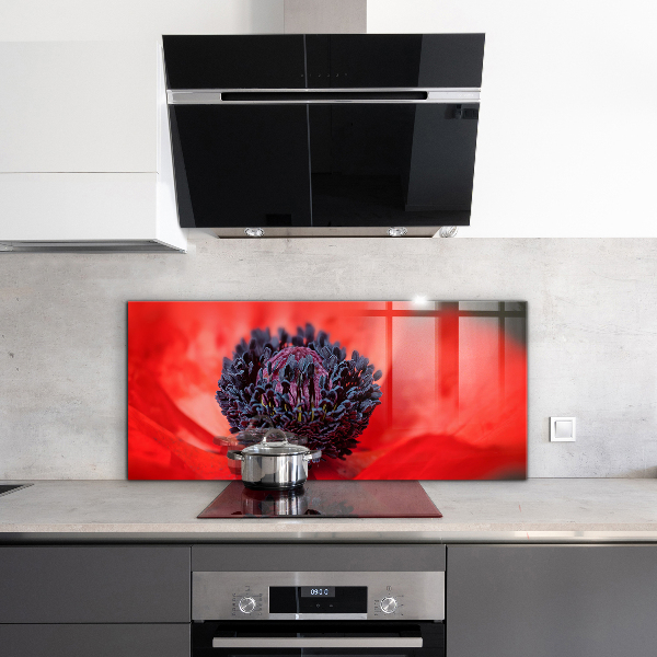 Spatplaat keuken Details van de rode klaproos