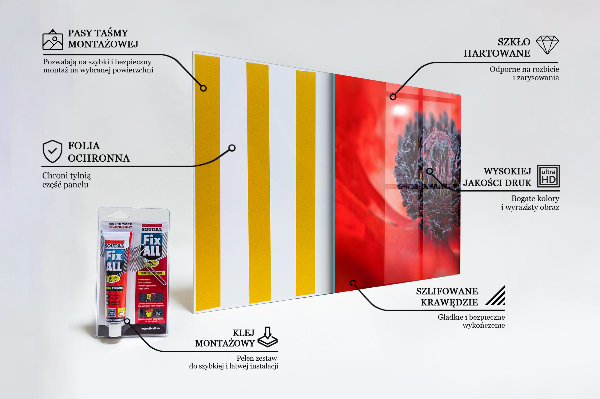 Spatplaat keuken Details van de rode klaproos
