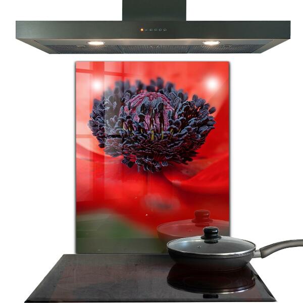 Spatplaat keuken Details van de rode klaproos