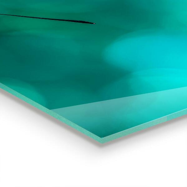 Achterwand keuken Prachtige vlinder in de natuur