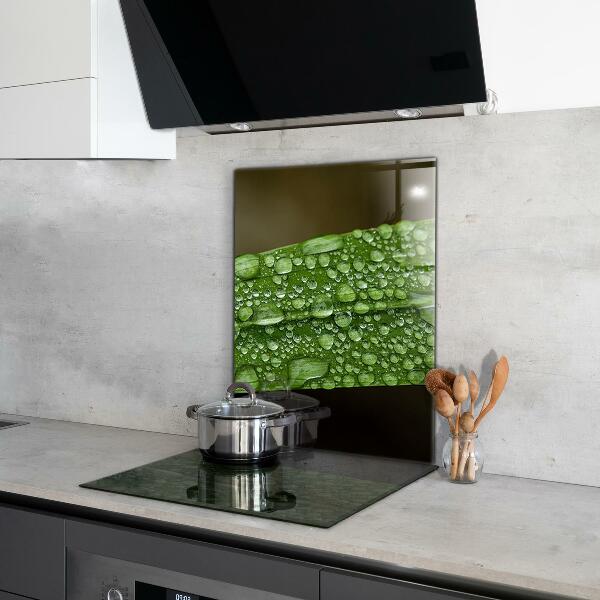 Keuken achterwand glas Een groen blad na de regen