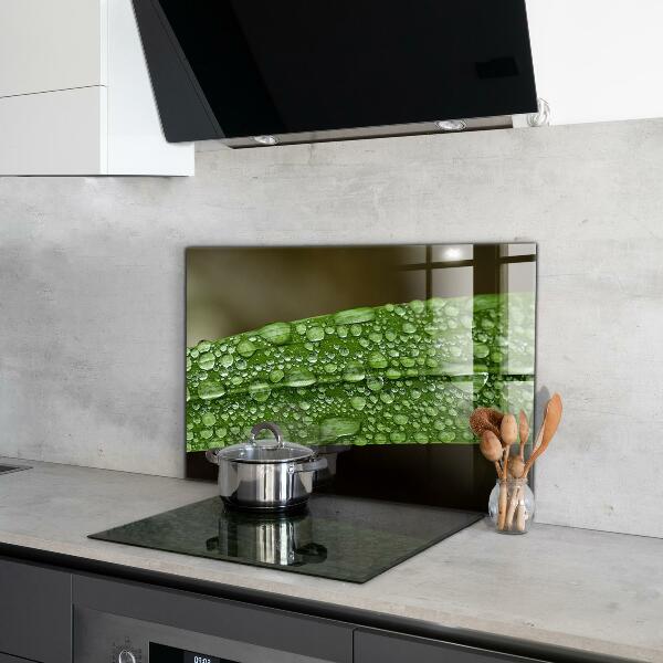 Keuken achterwand glas Een groen blad na de regen