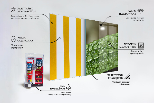 Keuken achterwand glas Een groen blad na de regen