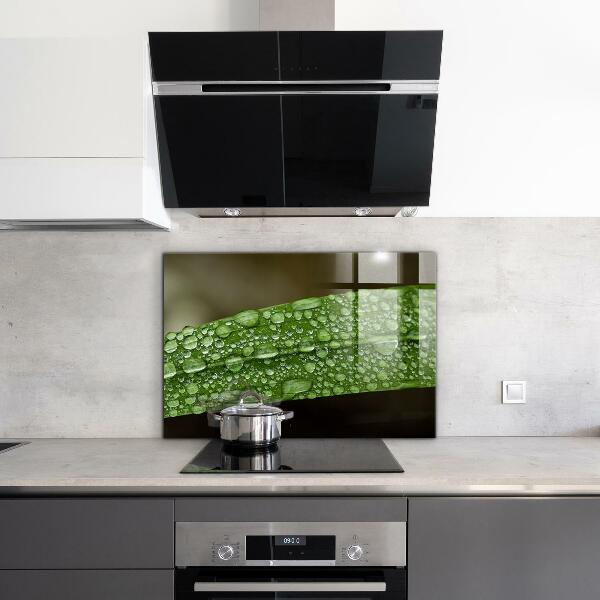 Keuken achterwand glas Een groen blad na de regen