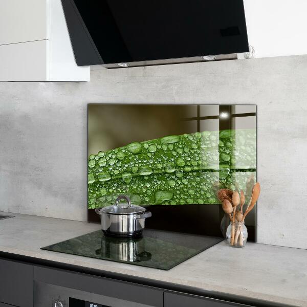 Keuken achterwand glas Een groen blad na de regen