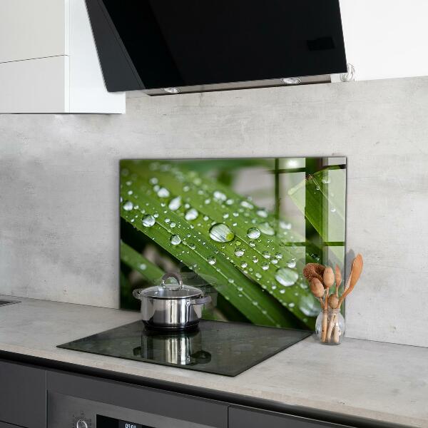 Foto achterwand keuken Dauwdruppels op het gras