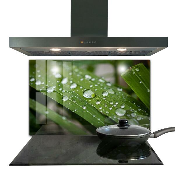 Foto achterwand keuken Dauwdruppels op het gras