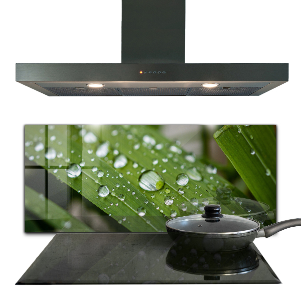 Foto achterwand keuken Dauwdruppels op het gras