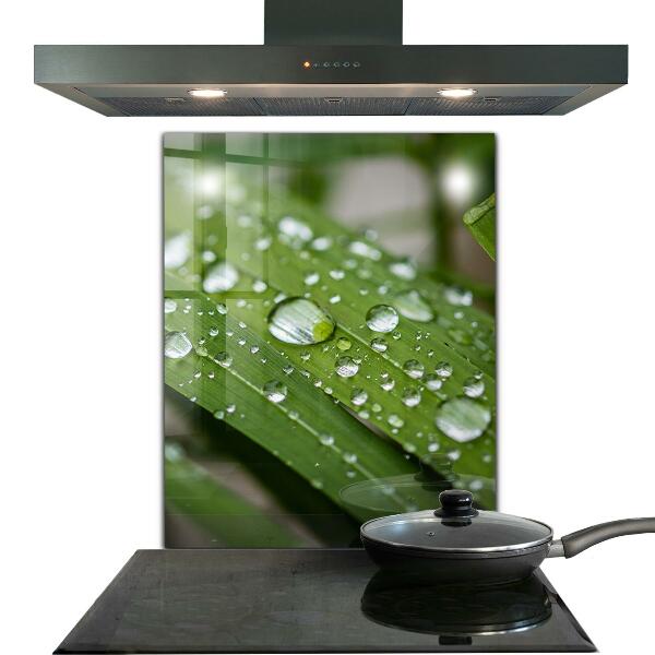 Foto achterwand keuken Dauwdruppels op het gras