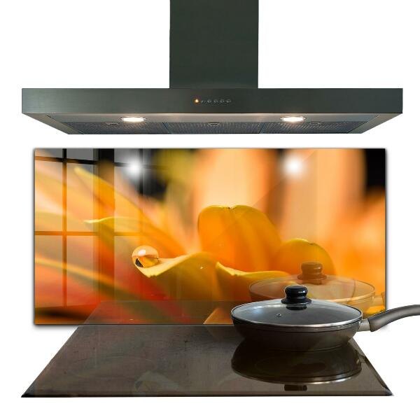 Achterwand keuken Gerbera bloem