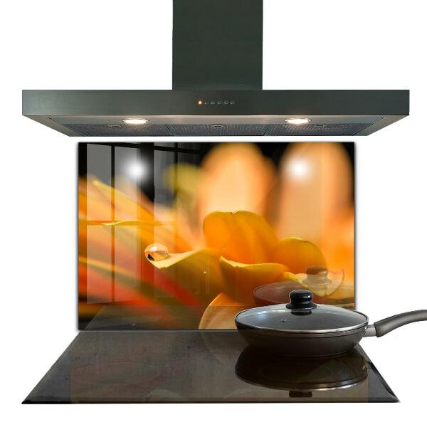 Achterwand keuken Gerbera bloem