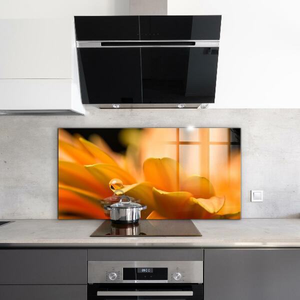 Achterwand keuken Gerbera bloem