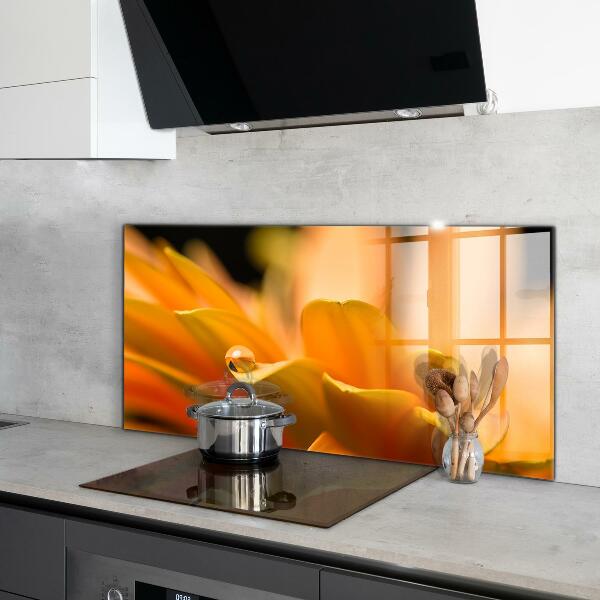 Achterwand keuken Gerbera bloem