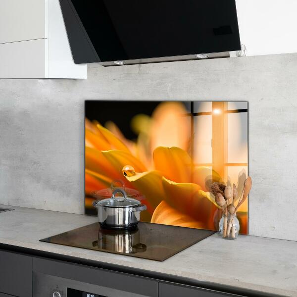 Achterwand keuken Gerbera bloem