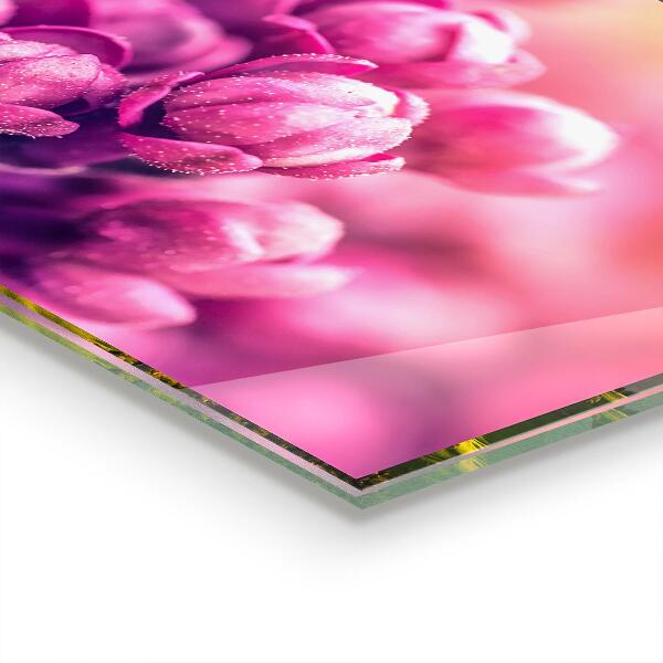 Foto achterwand keuken Roze lelies, natuurlijke schoonheid