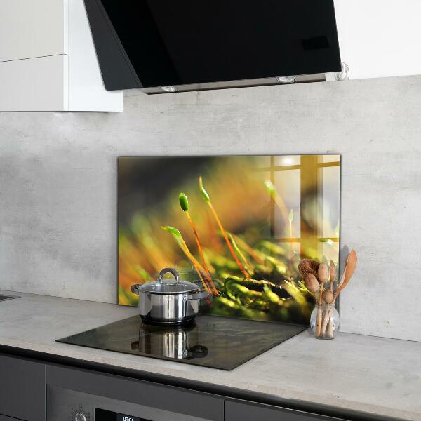 Spatplaat keuken Details over bosmos