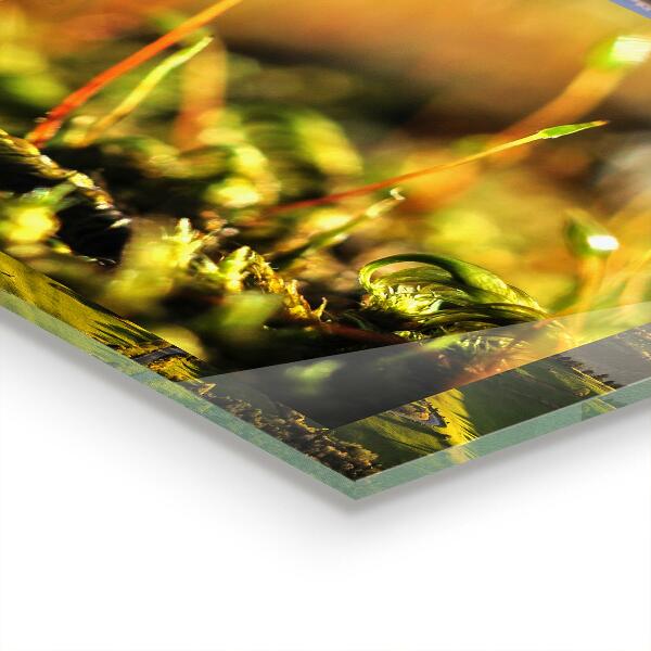 Spatplaat keuken Details over bosmos