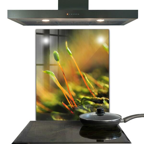 Spatplaat keuken Details over bosmos