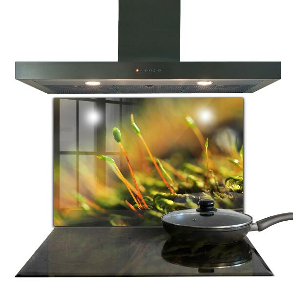 Spatplaat keuken Details over bosmos