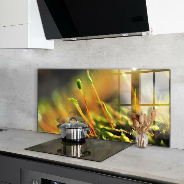 Spatplaat keuken Details over bosmos