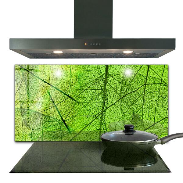 Keuken achterwand glas Groene bladtextuur