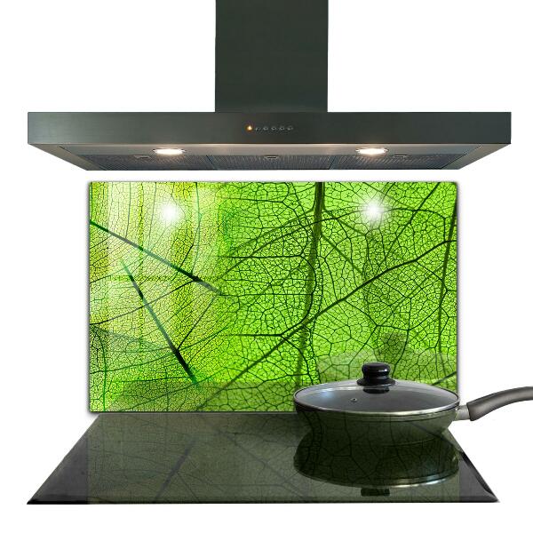 Keuken achterwand glas Groene bladtextuur