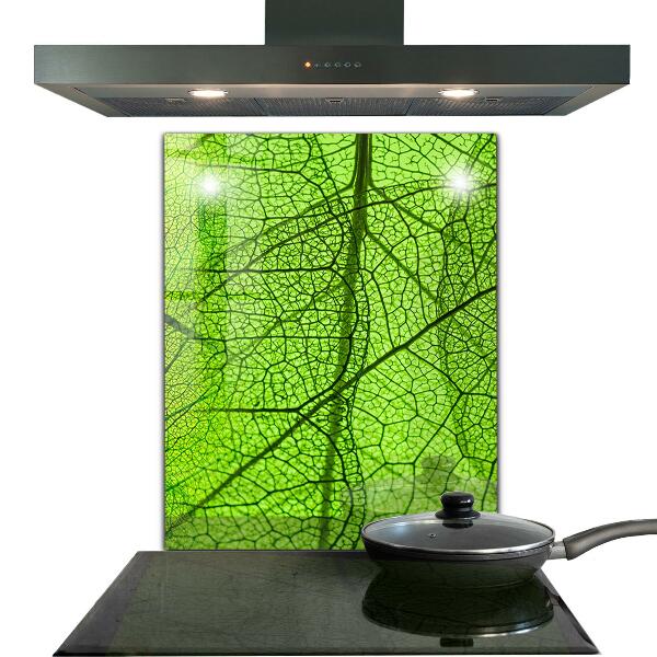 Keuken achterwand glas Groene bladtextuur
