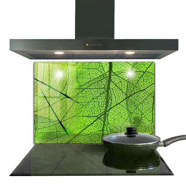 Keuken achterwand glas Groene bladtextuur