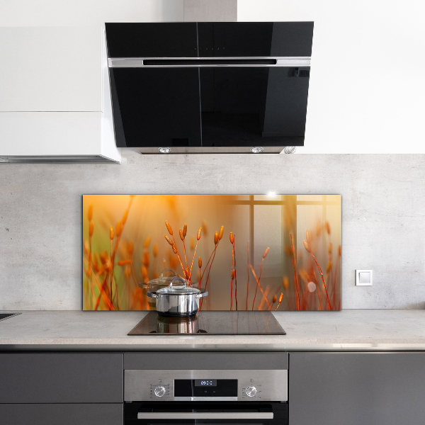 Foto achterwand keuken Graanveld bij zonsondergang