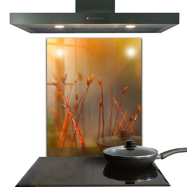 Foto achterwand keuken Graanveld bij zonsondergang