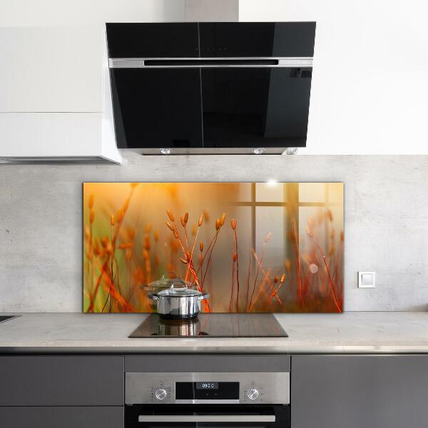 Foto achterwand keuken Graanveld bij zonsondergang