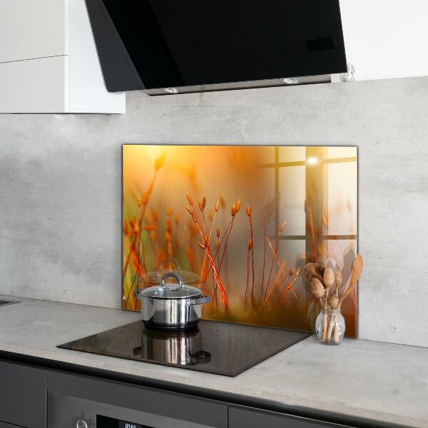 Foto achterwand keuken Graanveld bij zonsondergang